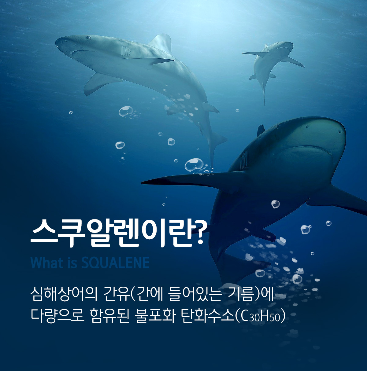 150add0a59094dd2a3fcb960f16a9d4a_1645011517_3022.jpg