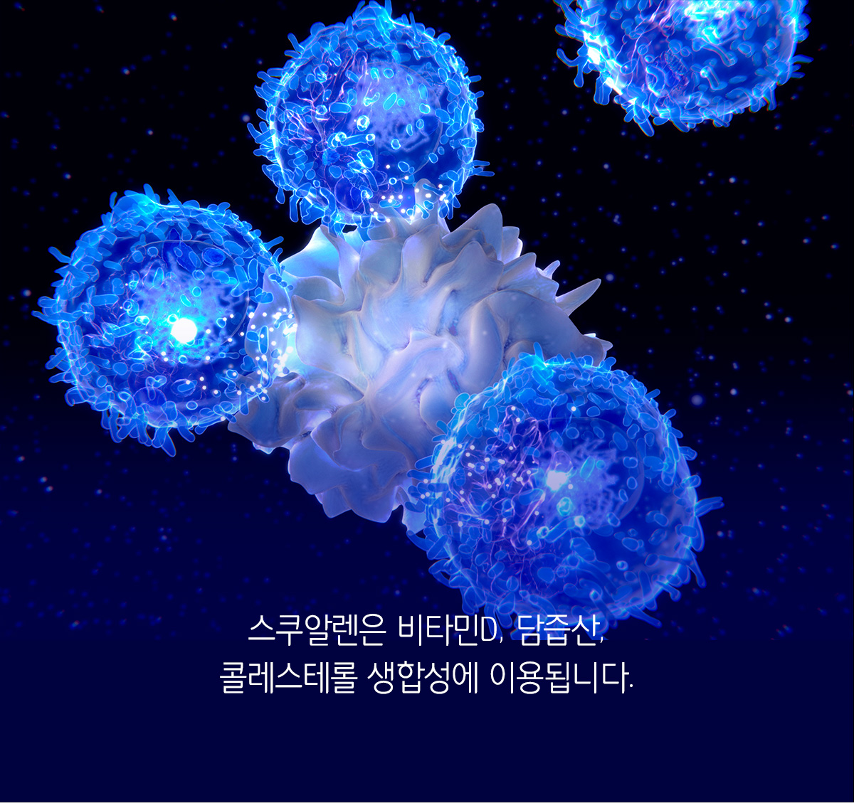 150add0a59094dd2a3fcb960f16a9d4a_1645011517_4073.jpg